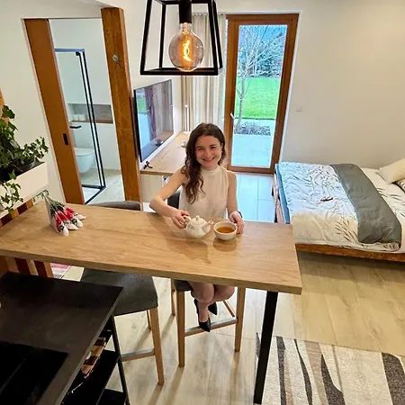 Apartament Business *